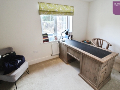 Picture 11
